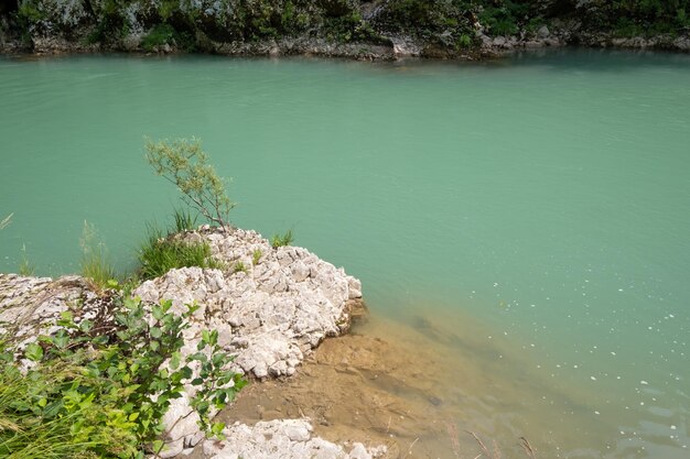 Tara river summer view Montenegro