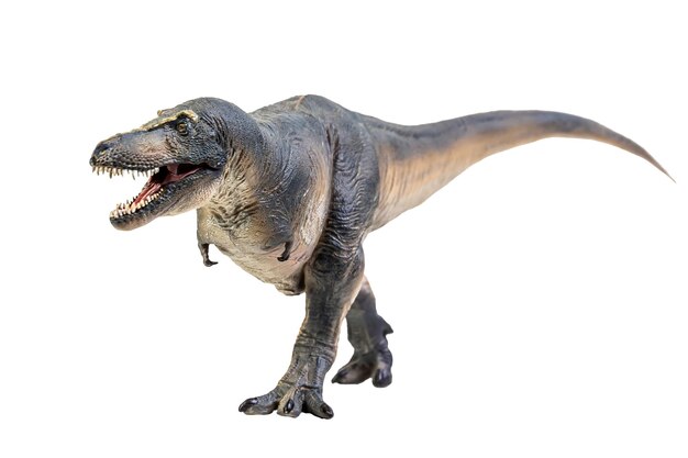 T-rex dinosaur running. Photorealistic 3d illustration side view. On white  background. Clipping path included Stock Photo - Alamy