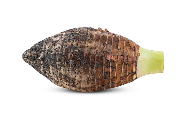 Taro isolated on white background