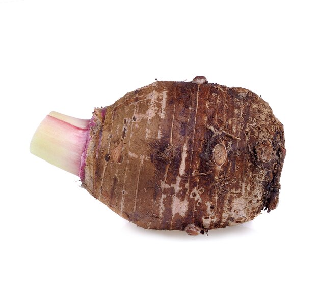 Taro root isolated on a white background.