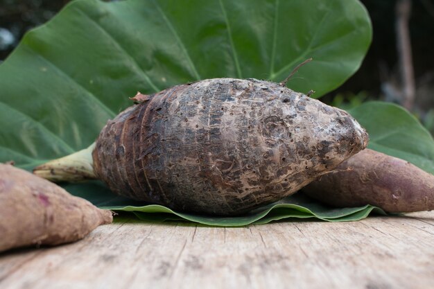 Taro root op houten achtergrond