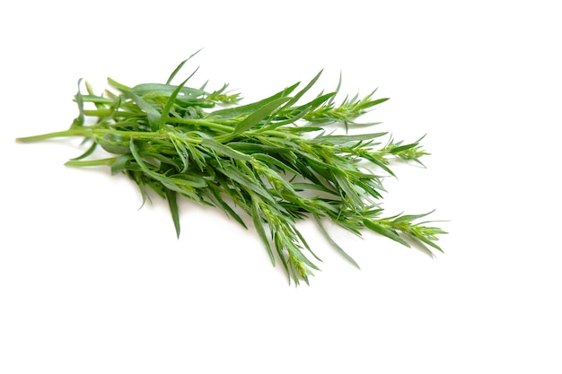 Photo tarragon twigs spicyaromatic tonic plant fresh shoots of green tarragon on a white background