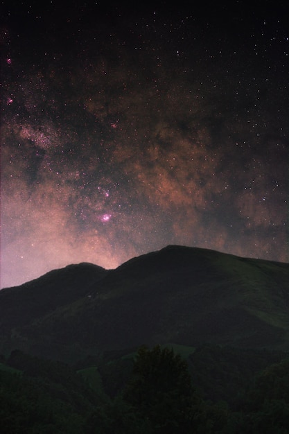 松の木のある遅い夜空