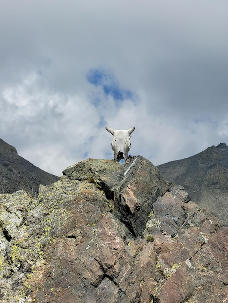 Foto tarsar marsar trek nel bellissimo kashmir