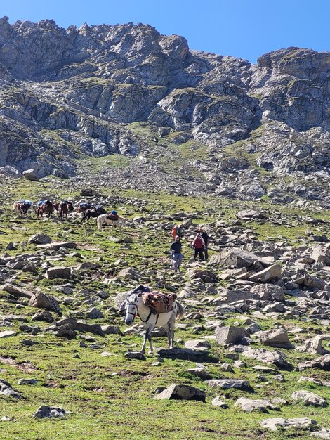 Foto tarsar marsar trek nel bellissimo kashmir