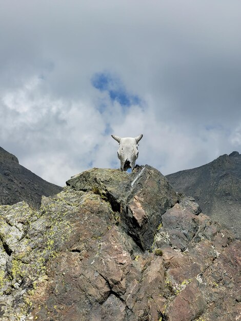 Foto tarsar marsar trek in het prachtige kasjmir