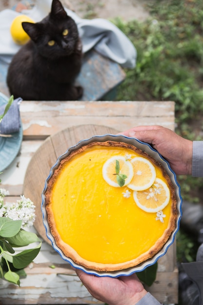 Tart with lemon curd.  Lemon pie. American cuisine. Dessert. Natural garden. top view