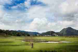 Photo tarusan kamang a dry up lake in agam regency west sumatera