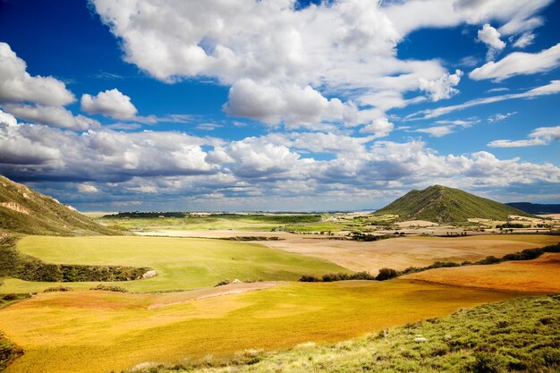 Tarwe veld landschap.