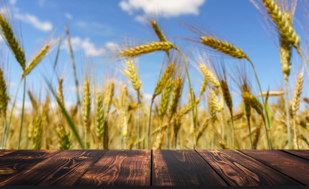 Tarwe veld tabel achtergrond houten tafel en tarwe oogst op een zomer zonnig veld landbouw rogge