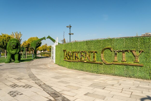 the Tashkent city park lit by sun on a green grass background on a day time
