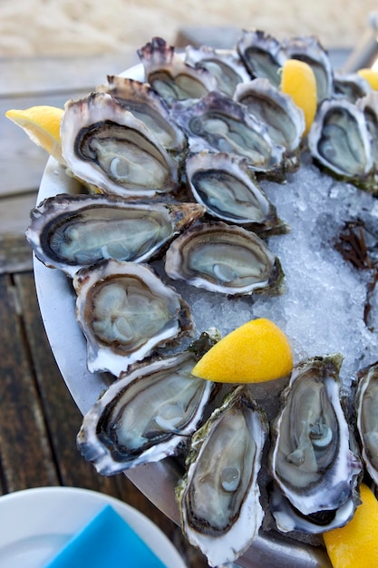 Tasting sea food on the beach