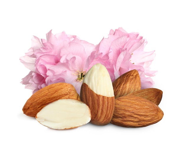 Tasty almonds and pink flowers on white background