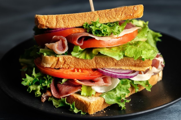 Tasty appetizing sandwich with ham and vegetables served on plate