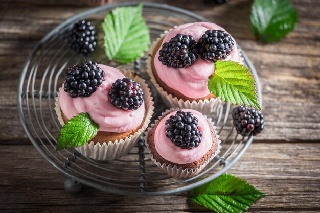 Tasty blackberry cupcake with berries and pink cream