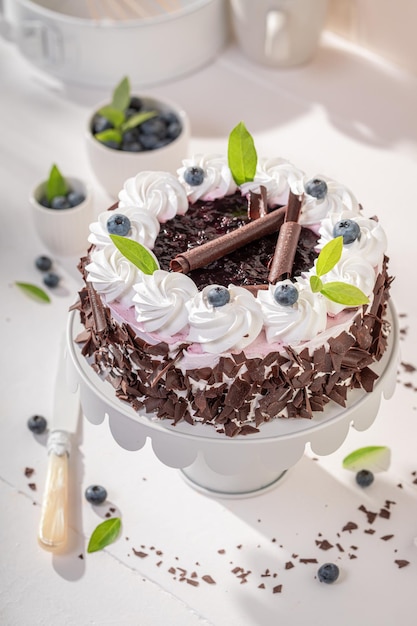 Tasty blueberry cake with whipped cream and berries