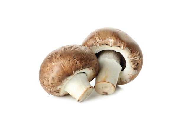 Tasty champignon mushrooms isolated on white background