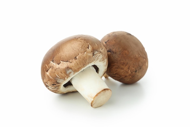 Gustosi funghi champignon isolati su sfondo bianco