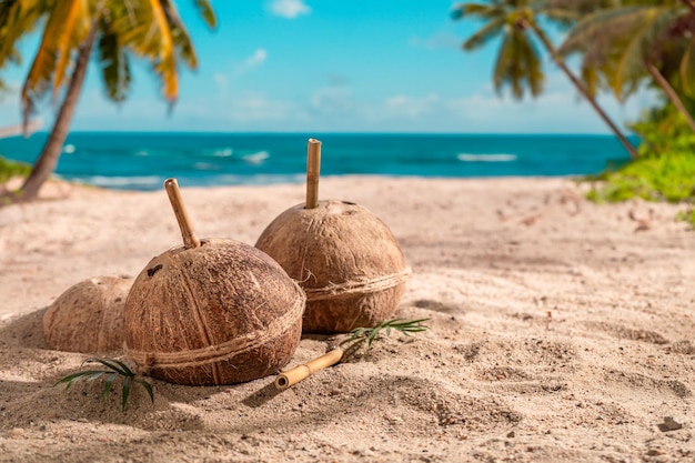 Tasty coconut milk in shell on an exotic island