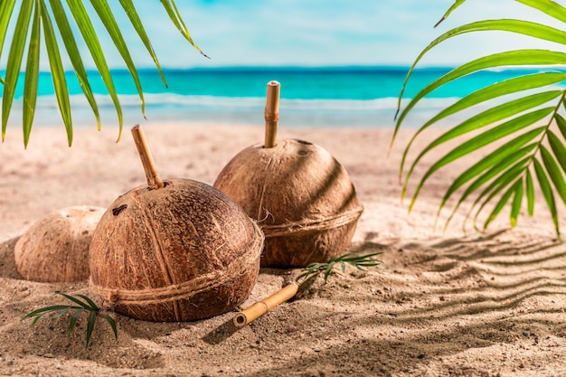 Tasty coconut milk in shell on sandy beach