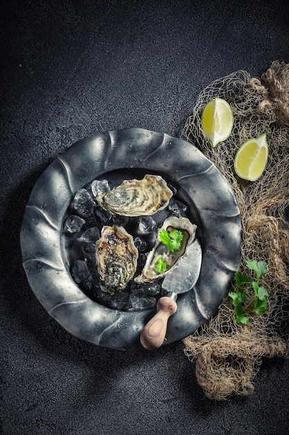 Tasty and cold oysters with coriander and lemons