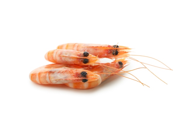 Tasty cooked shrimps isolated on white