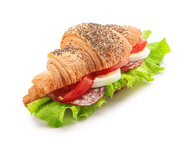 Gustoso panino con croissant su sfondo bianco