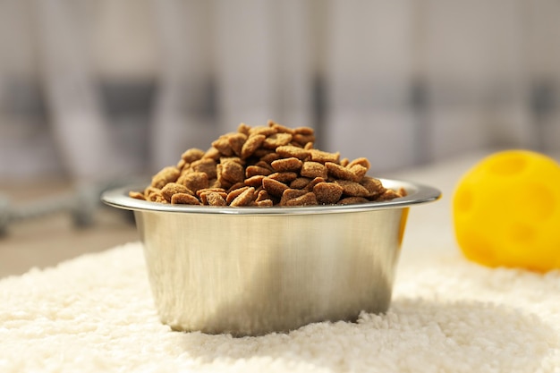 Tasty and delicious food for pet pet accessories