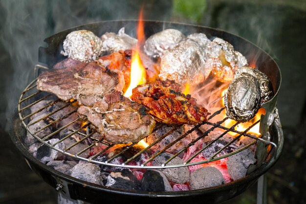 Tasty fresh appetizing meat beef on grill cooking on open fire on grill grid Nature Background Closeup