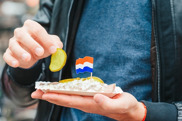 암스테르담 트라드의 수로 배경에 양파와 네덜란드 국기가 달린 맛있는 신선한 청어...