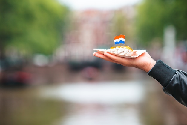 Tasty fresh herring with onion and netherland flag on the water channel background in amsterdam trad...