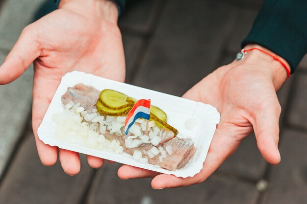 Tasty fresh herring with onion and netherland flag on the water channel background in amsterdam trad...