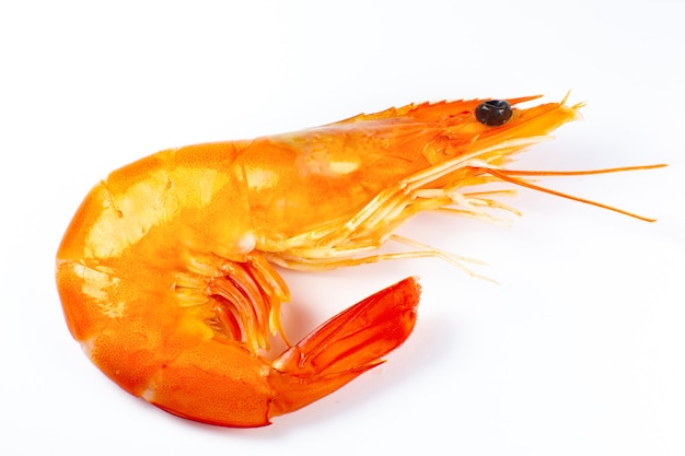 Tasty fresh Shrimp or prawn on white background.
Close up photo.