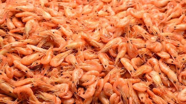 Tasty fresh shrimps as background.