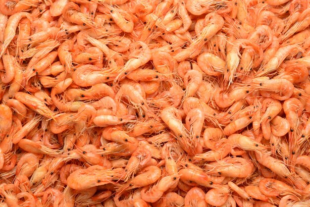 Tasty fresh shrimps as background