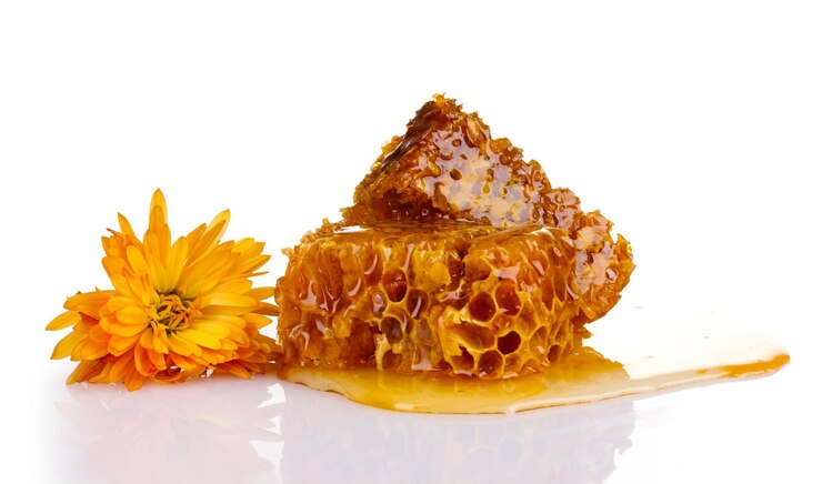 Photo tasty honeycombs and flowers isolated on white