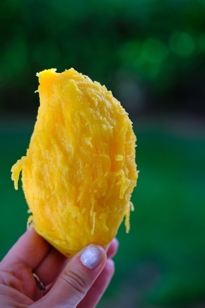 Tasty juicy ripe mango on green natural background