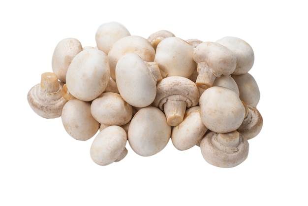Tasty mushrooms isolated on white