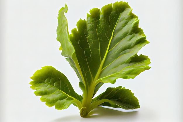 Tasty One natural Mustard Greens Generative Ai