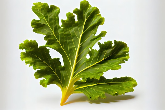 Tasty One natural Mustard Greens Generative Ai