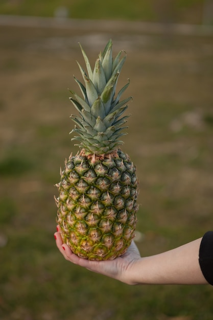 Tasty pineapple holding with a hands with red nails 