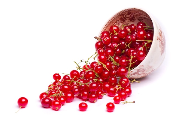 Photo tasty red currant berries