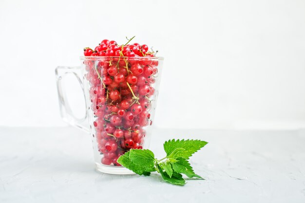 Tasty red currant with mint on a white background.