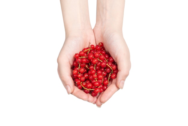 Tasty red currant in woman hand isolated on white background. Top view.