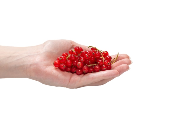 Tasty red currant in woman hand isolated on white background. Top view.