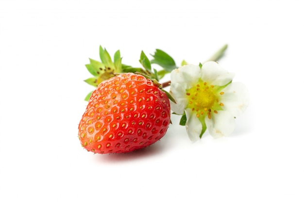 Tasty red strawberry isolated on white background