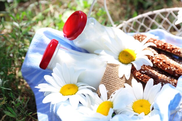 Tasty snack in basket on grassy background for spending nice weekend in a park