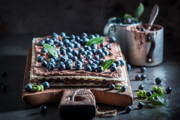 Tasty wafers with chocolate cream and blueberries