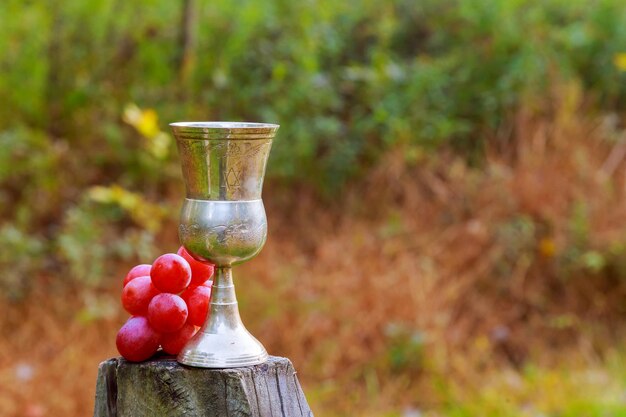 Tasty wine on wooden barrel on grape plantation background