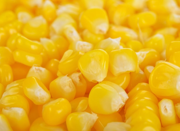 Tasty yellow grains of corn Whole background